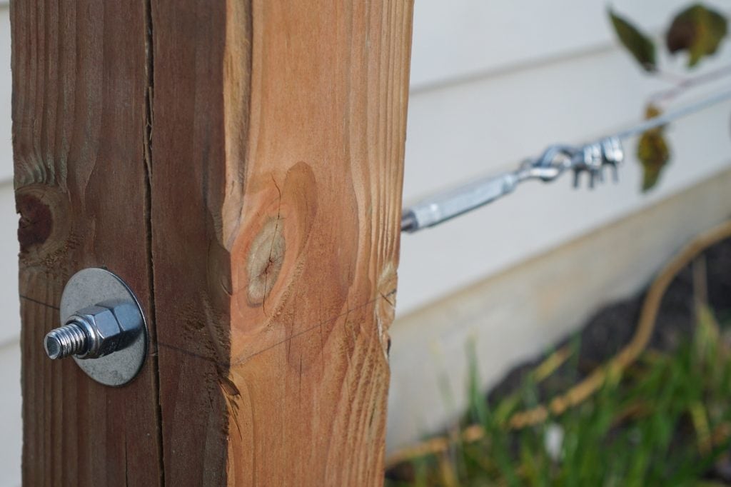 Espalier Cable Anchors_