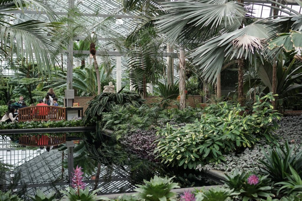Garfield Park Conservatory