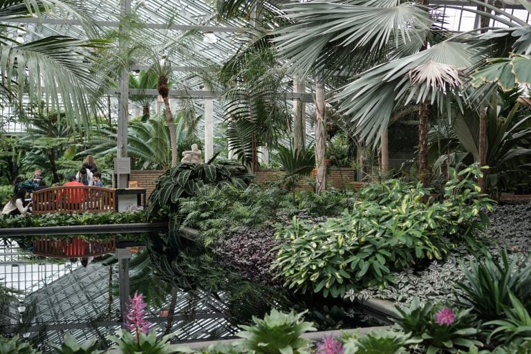 Garfield Park Conservatory