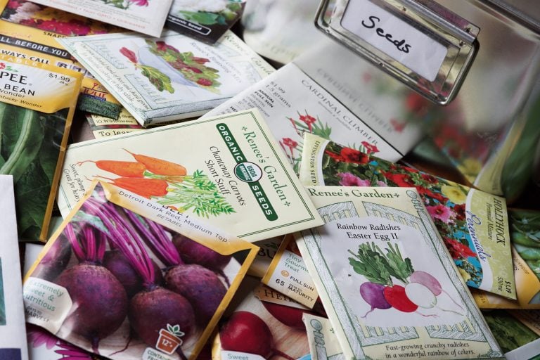 Collection of Seed for Seed Starting Rack