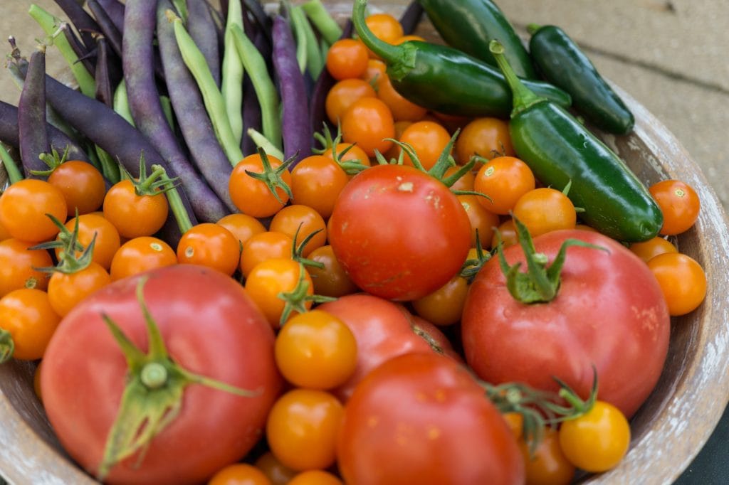 Closeup vegetables grown with composting