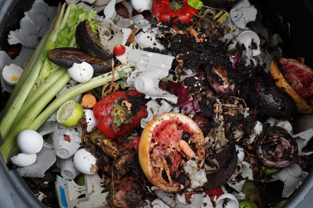 compost pile