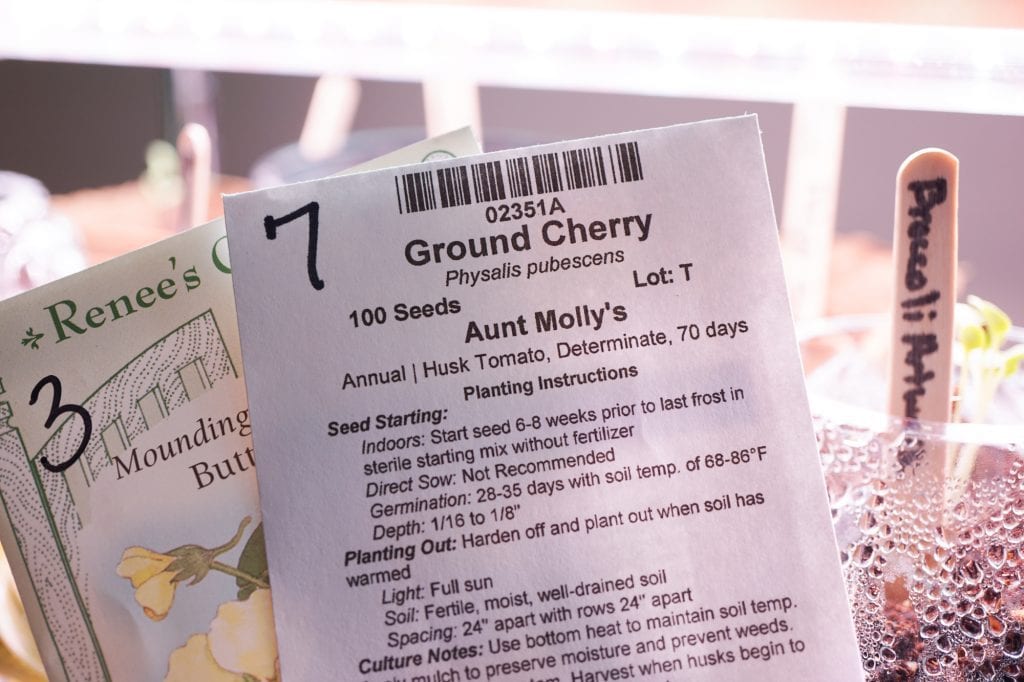 Seed Packet Growing Instructions