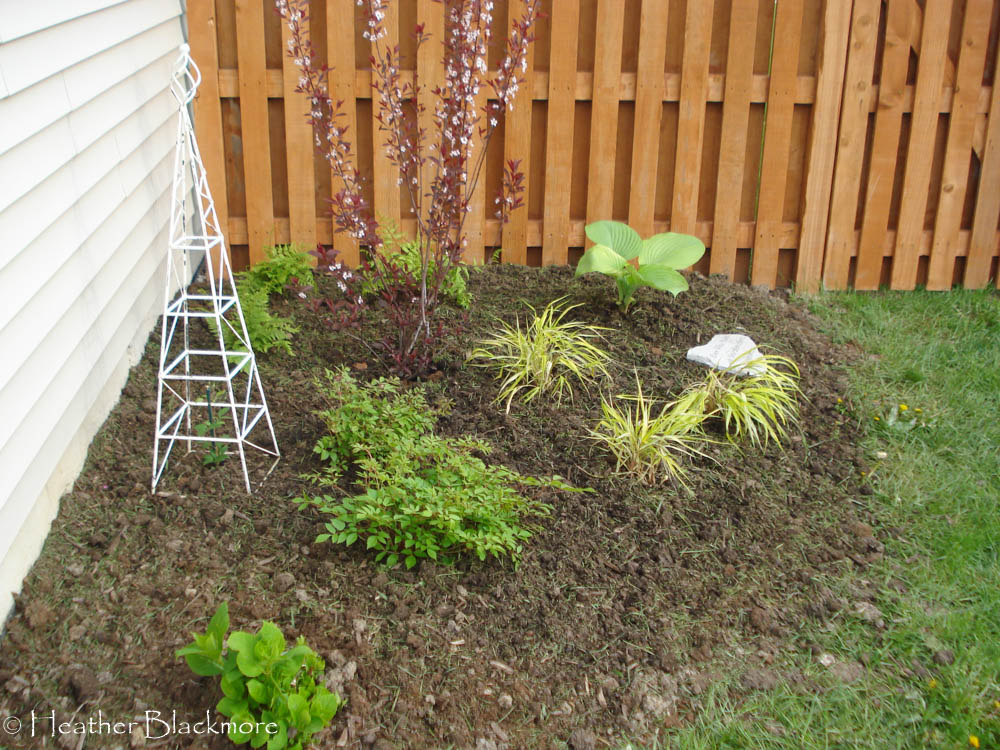 Newly Planted Bed with Purple Leaf Sand Cherry