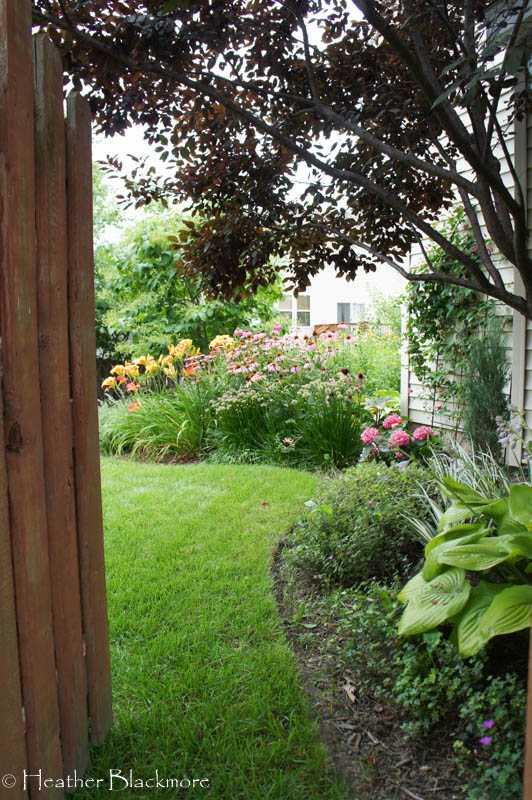 Entrance to garden with Purple Leaf Sand Cherry Canopy