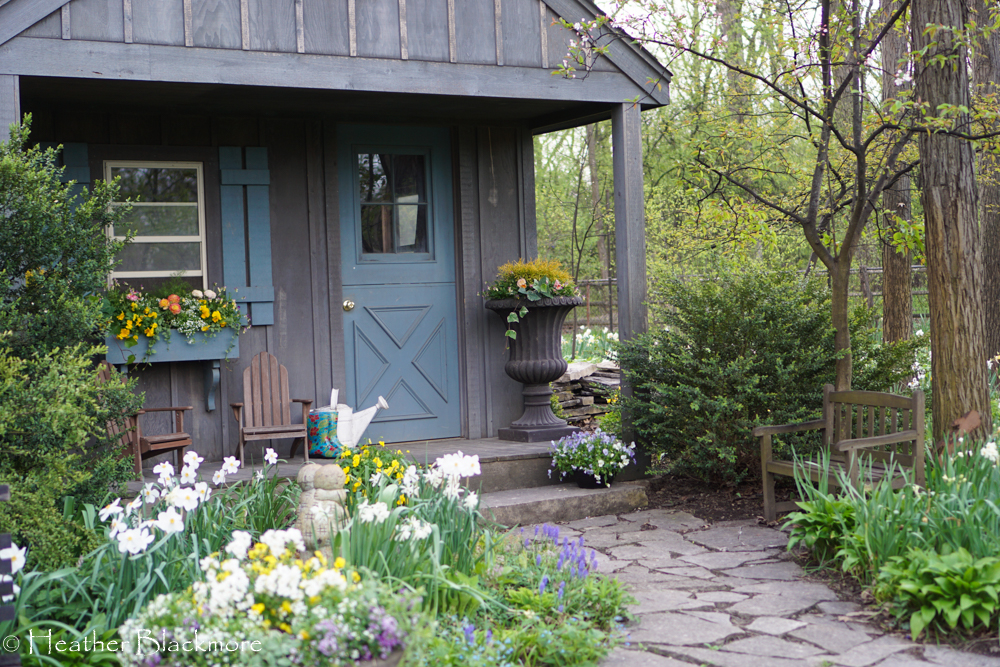 Garden Shed
