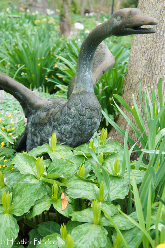 Bronze Goose with trillium