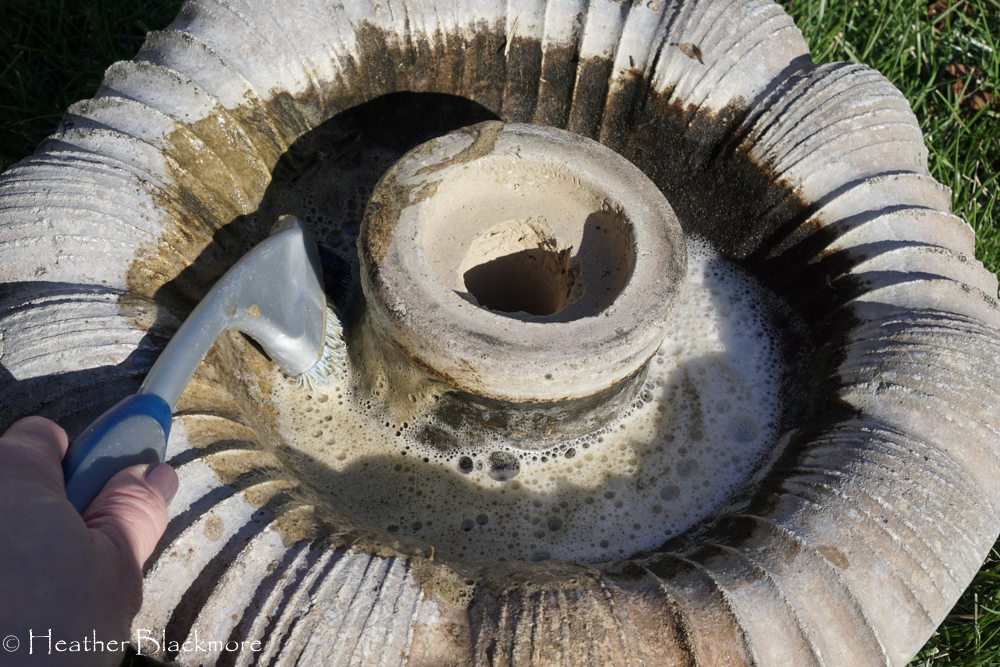 Scrubbing algae off fountain