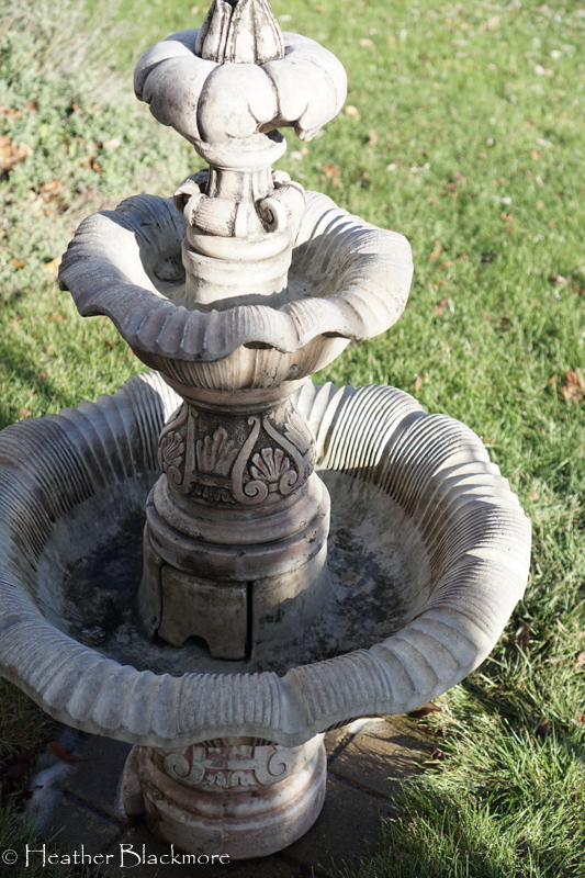 Clean fountain