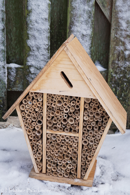Mason Bee House