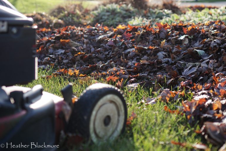 Leaves with mower
