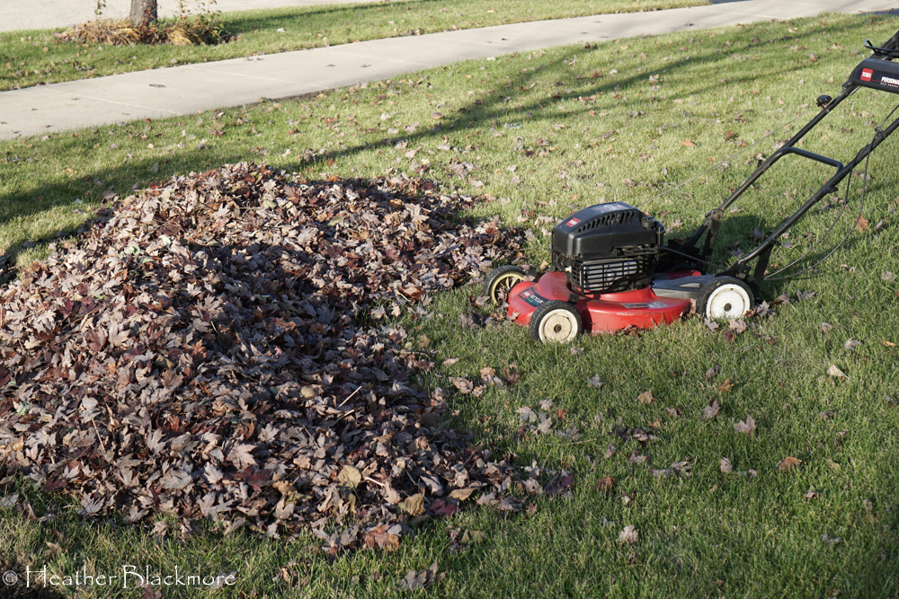 Piled leaves with mower