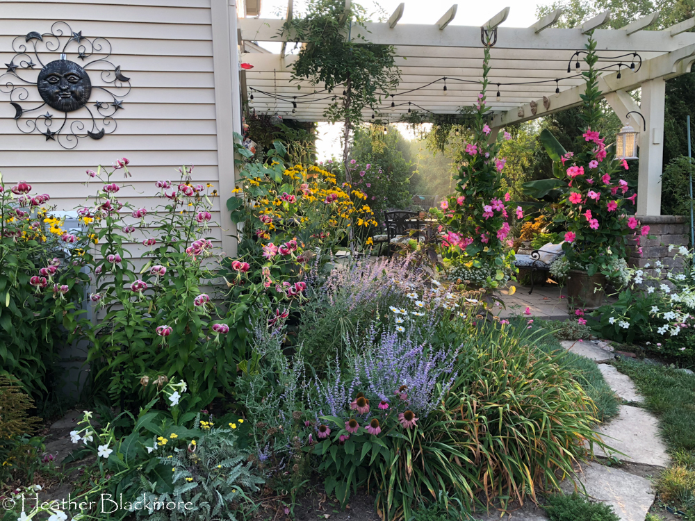 Summer Garden