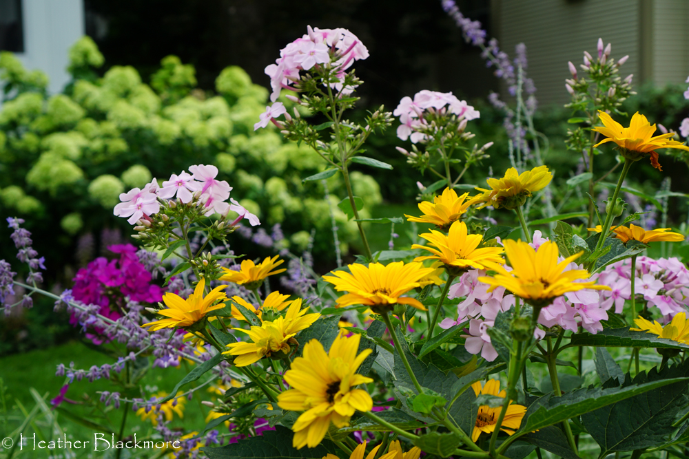 Mixed urban border