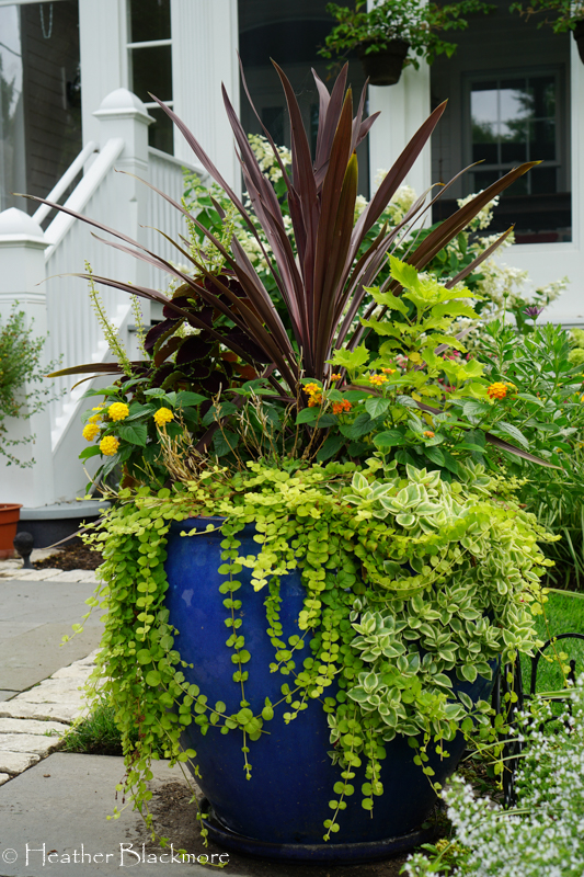 mixed blue container