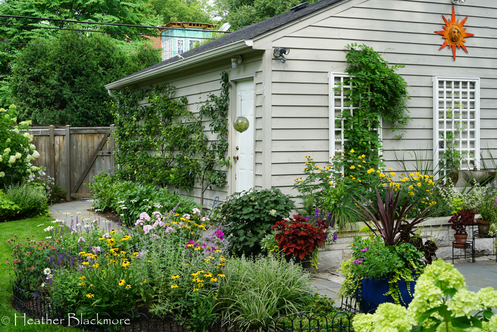Urban Garden around garage