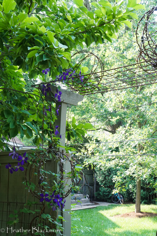 Lighted Garden Spheres