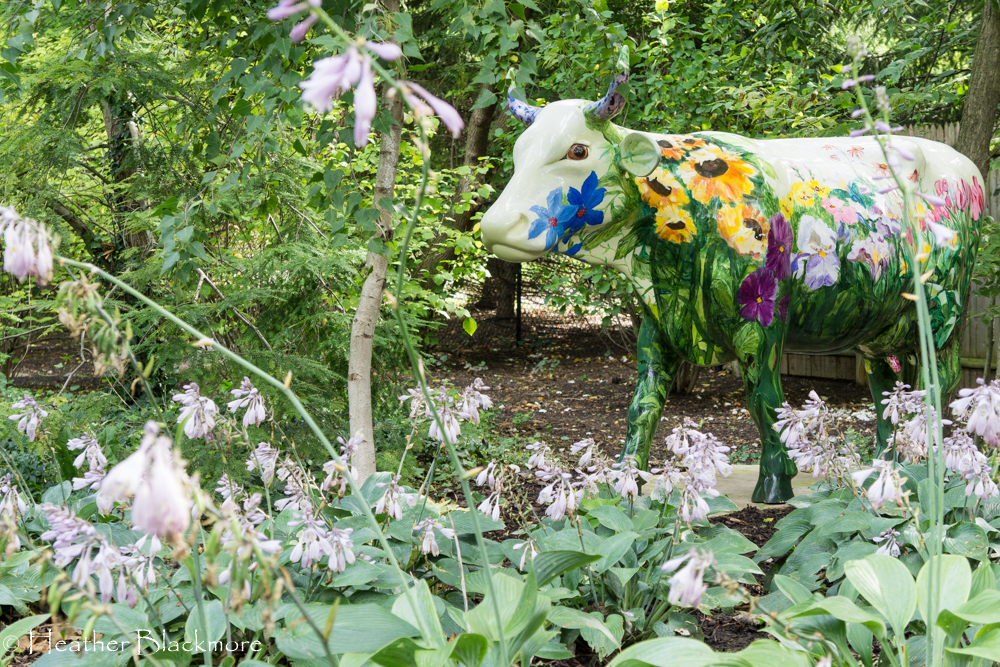 Cow garden sculpture