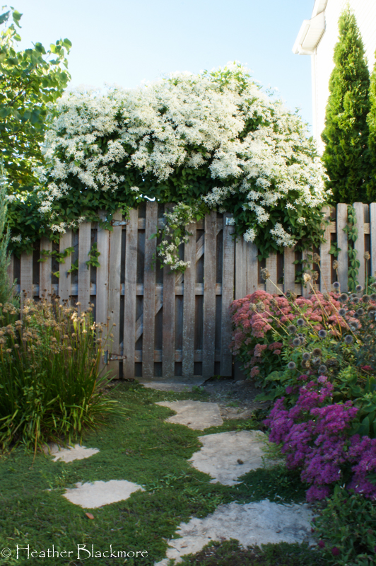 Garden Arbor