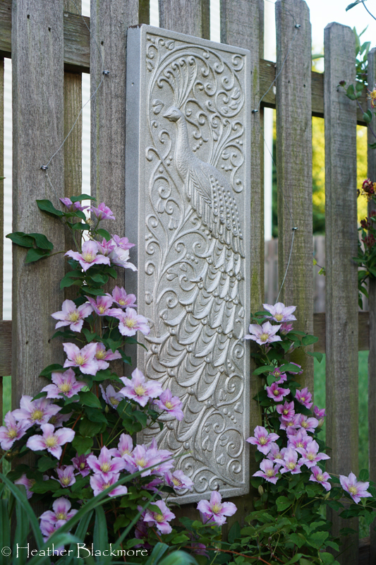 Clematis on picture garden art