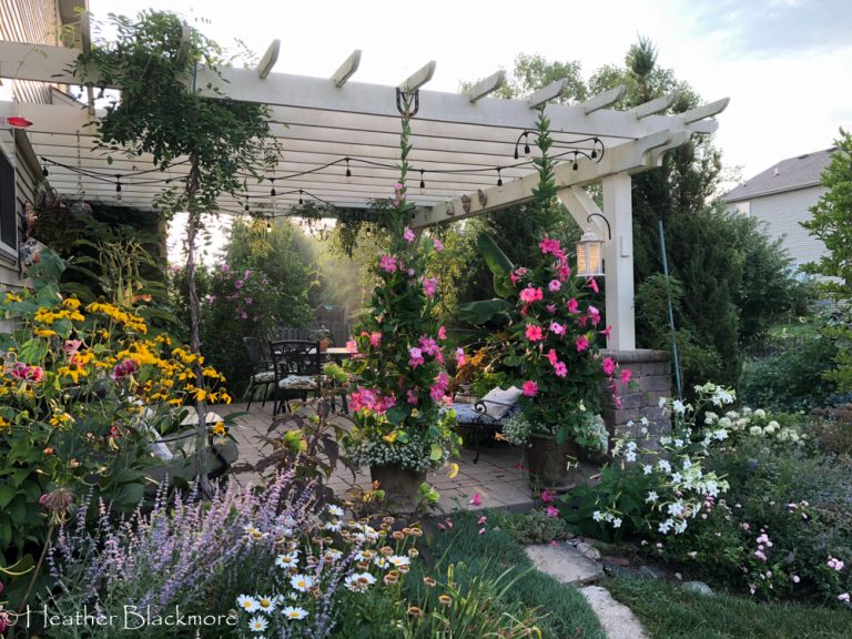 Finished pergola