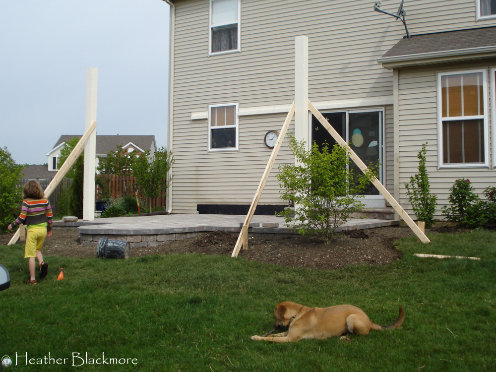Pergola early stages side view