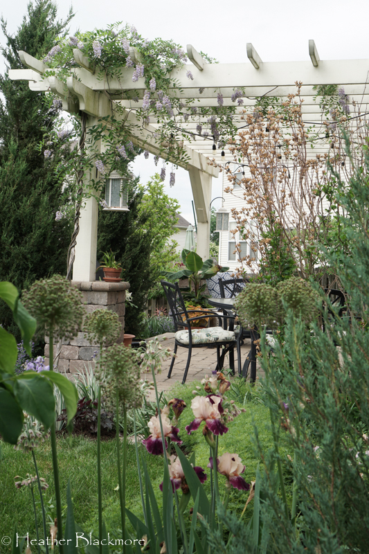 Pergola side view