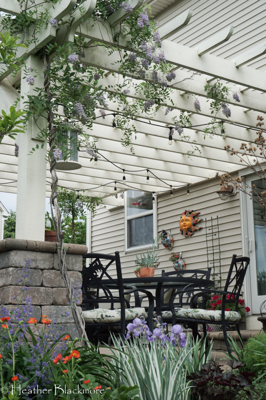 Pergola side view