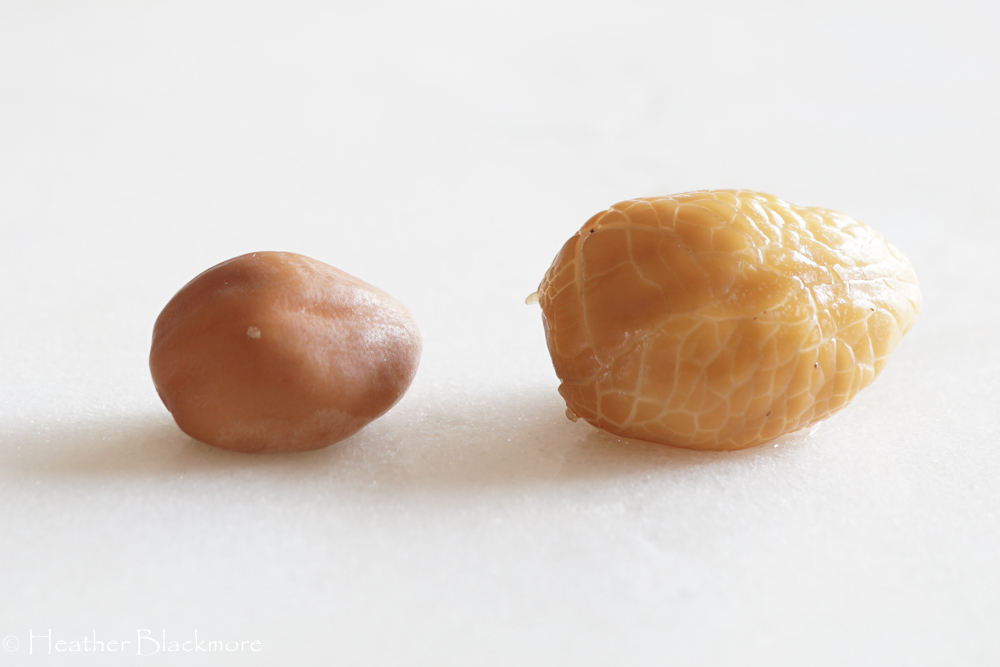 moonflower seed
