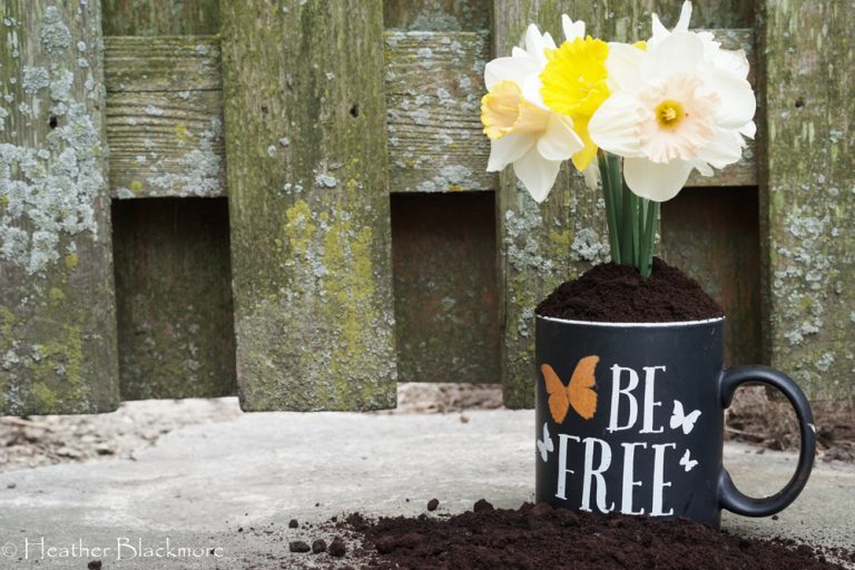 Coffee mug with grounds anf flowers
