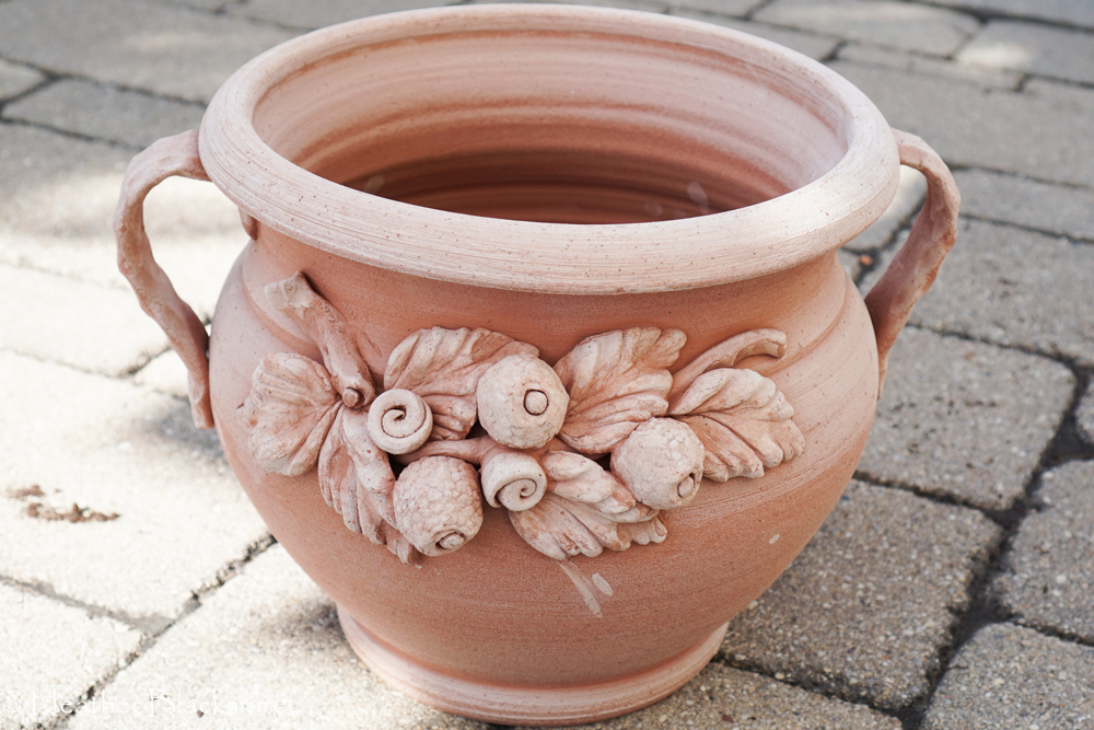 Terracotta pot for fiddle leaf fig