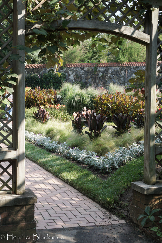 Grape Arbor