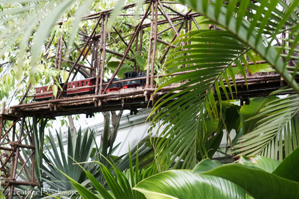Train bridge