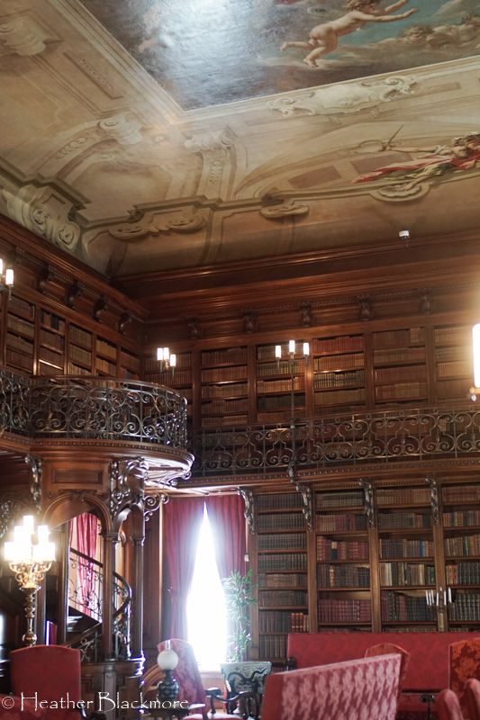 Biltmore library