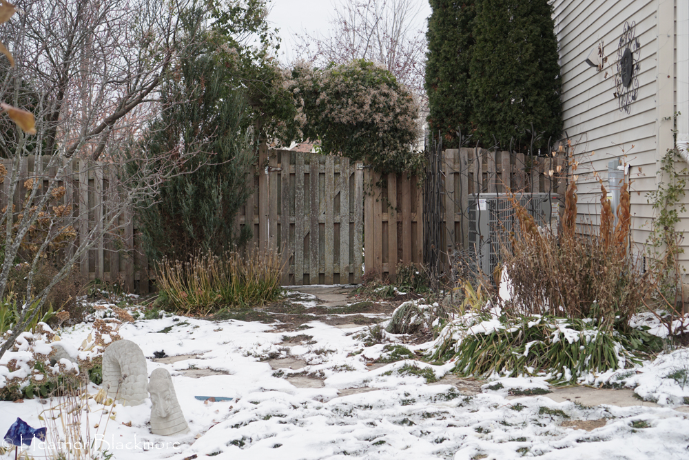 snowy garden