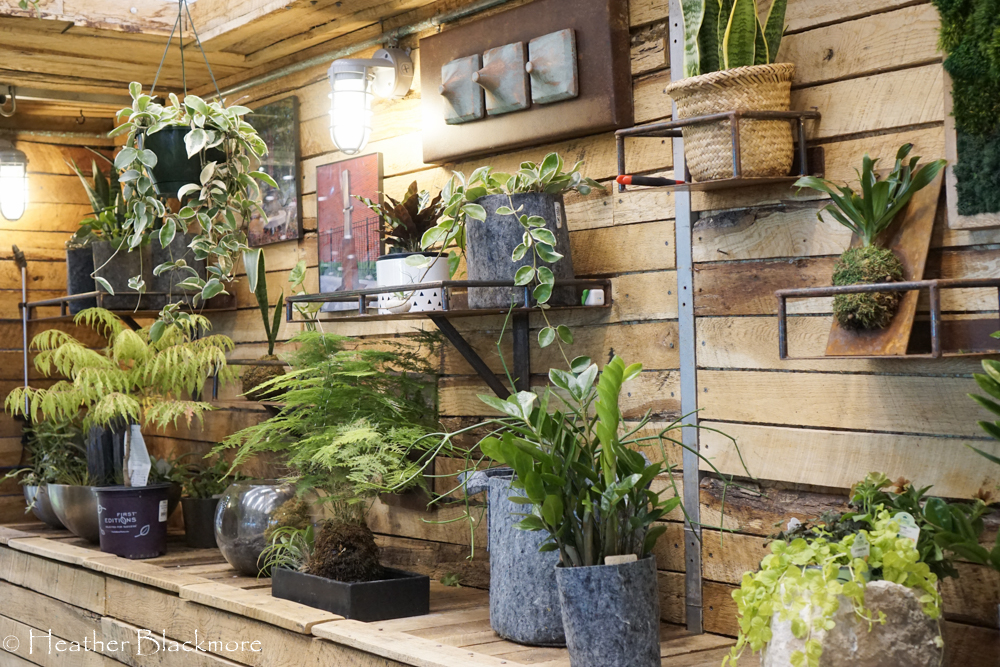 Plant shelves