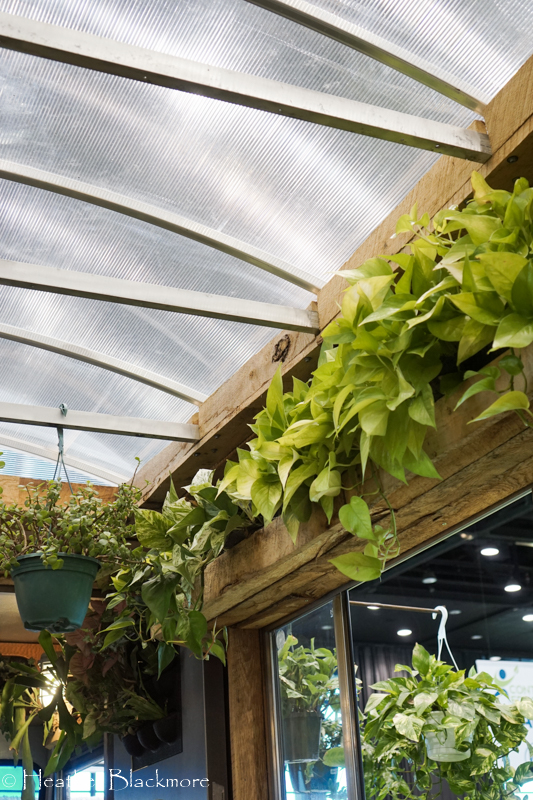 Greenhouse glass ceiling