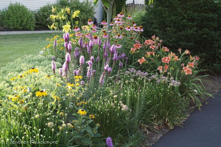 Driveway Garden