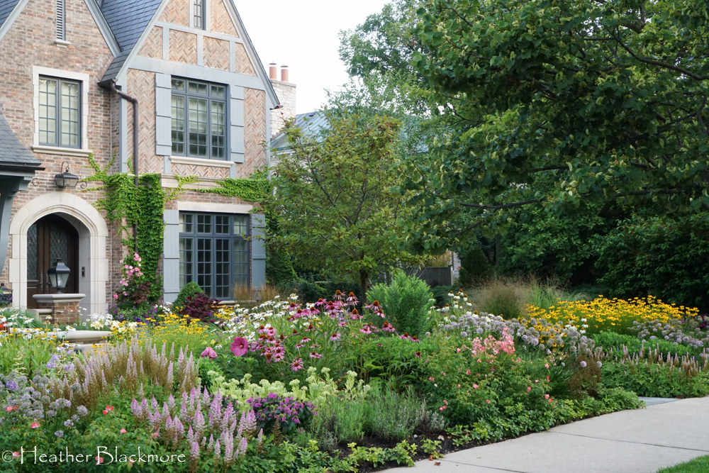 Street view front yard garden
