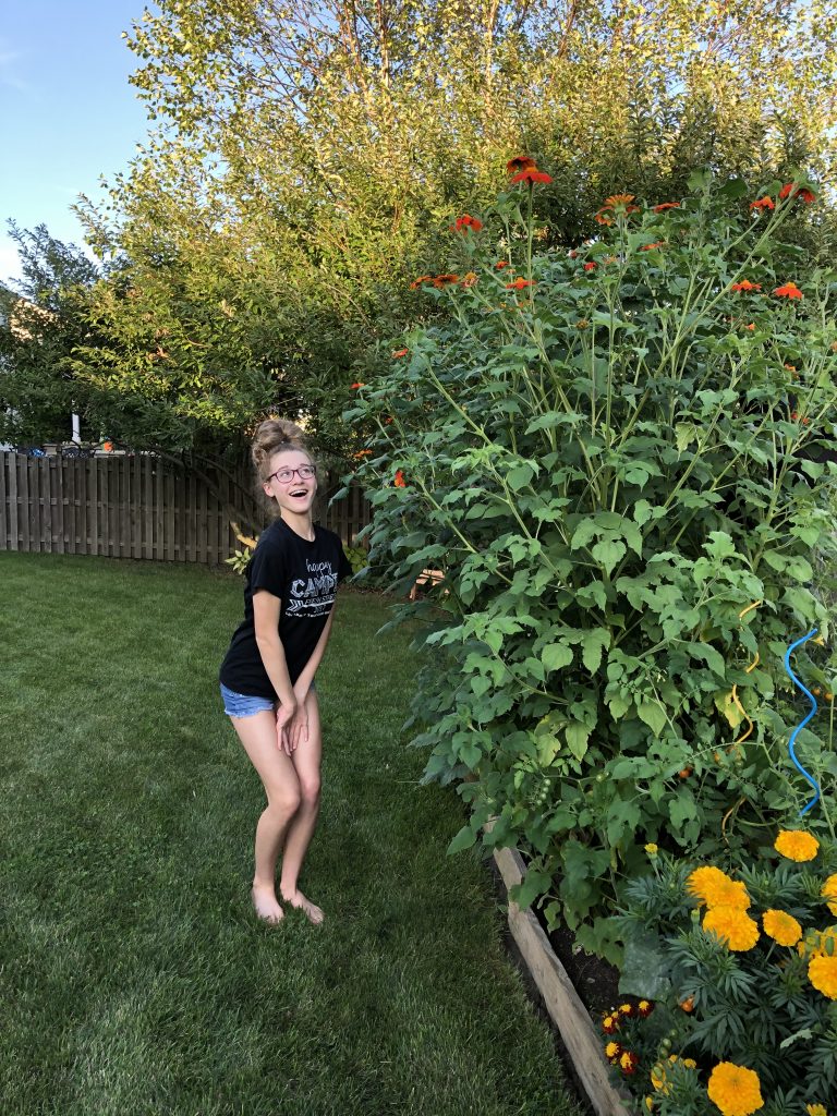 My daughter with tall Mexican sunflower