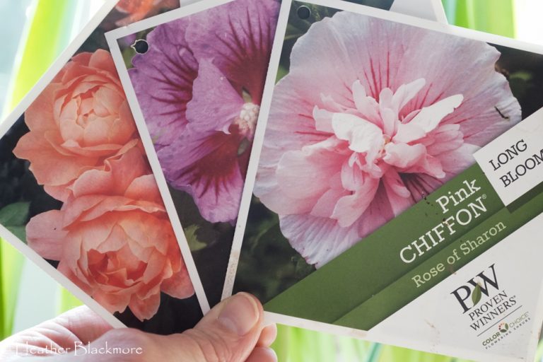 plant tags
