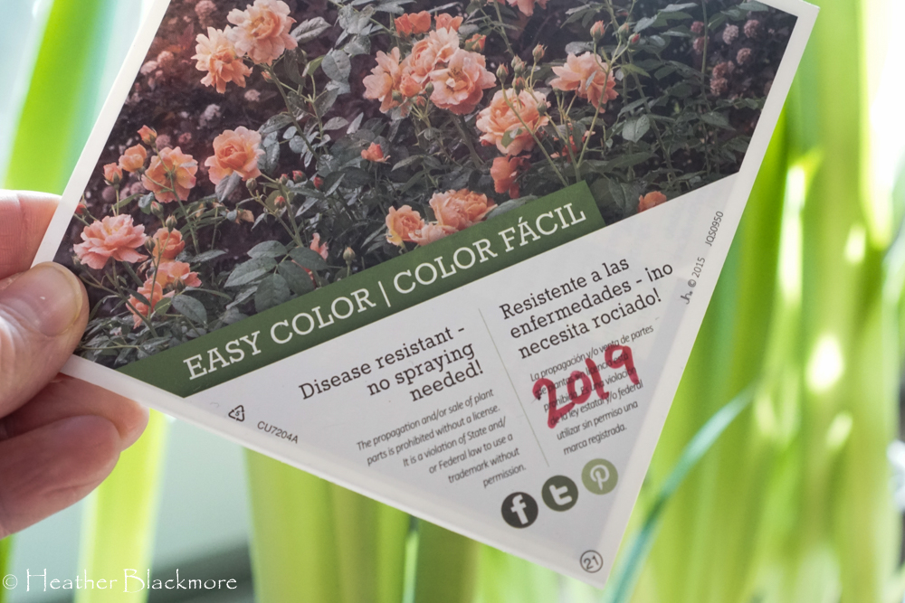Dated plant tag