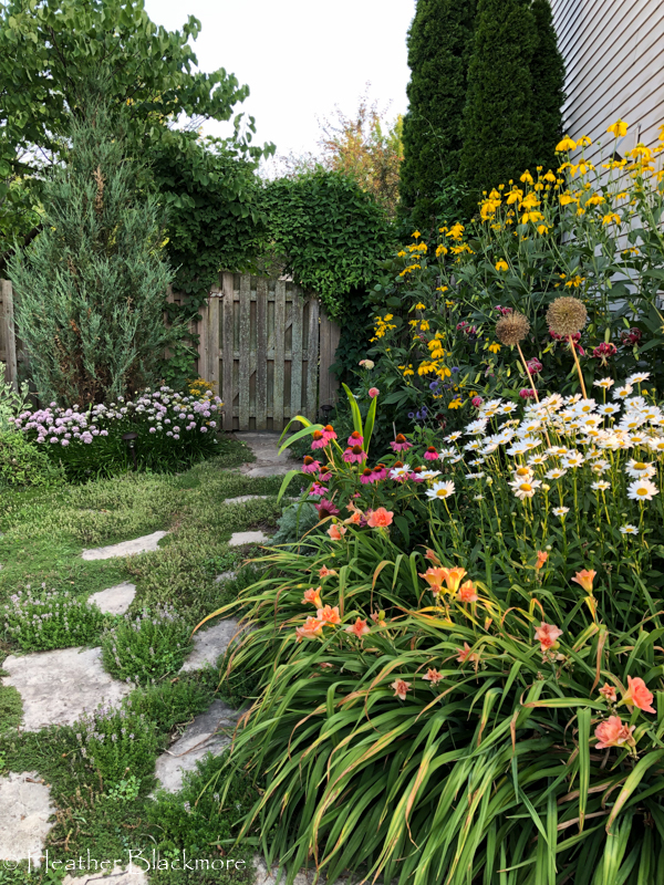 Sun garden
