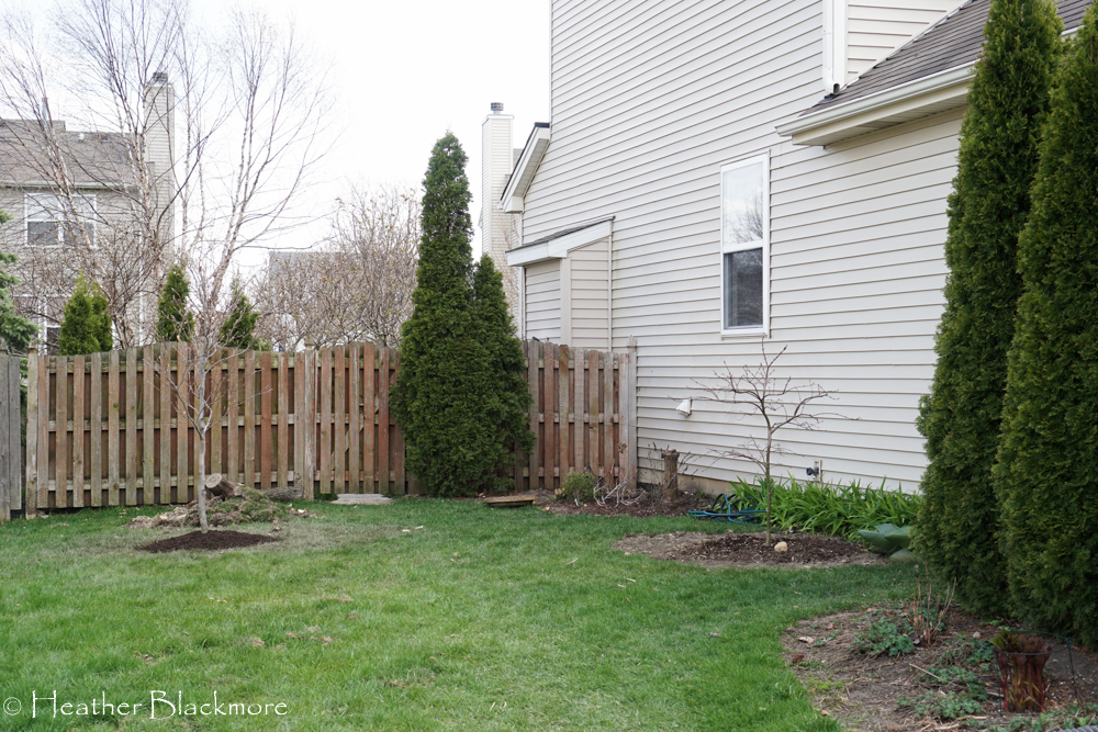 Sideyard before grass removal