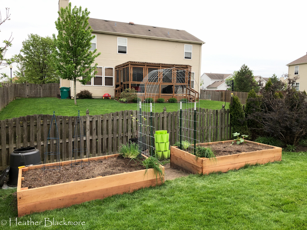 Raised Beds