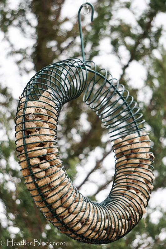 Peanut wreath bird feeder