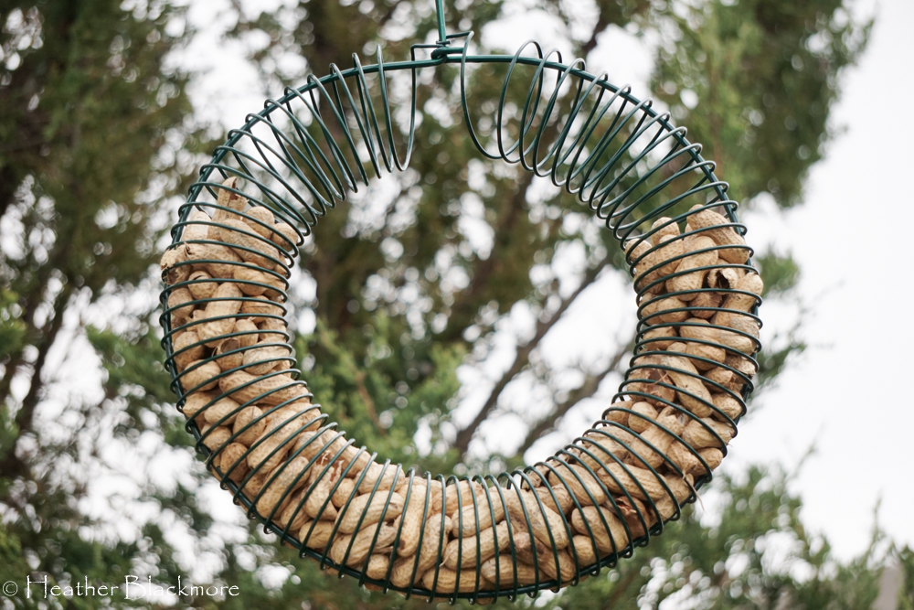 peanut wreath bird feeder