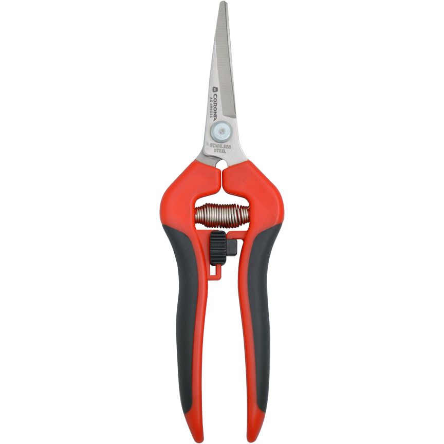 Corona Snips