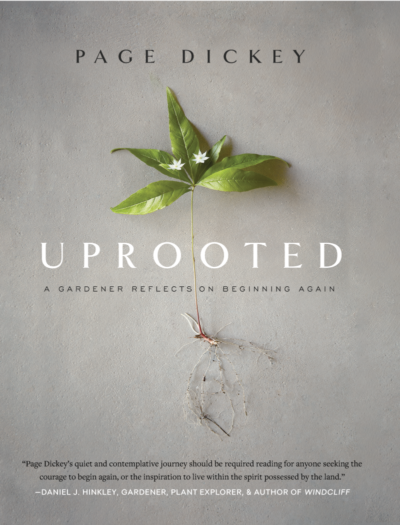 Uprooted book cover