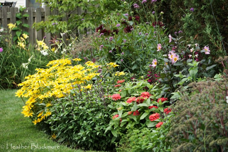 Summer Flower Border